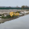 Елітна ділянка з виходом до води біля заказника Лісники та озера Шапарня в Ходосовці, Новообухівська траса, 17 соток, фото 13