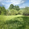 Земельна ділянка 54 сотихм.Яремче, фото 1