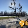 Фасадна земля під комерцію, промисловість на трасі Т1006, Підгірці, Новообухівський напрямок, 63 сотки, фото 1