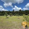 Продаж будинку біля Львова з ремонтом у с.Вислобоках, фото 43