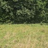 Земельні ділянки 1.87гас.СтопчатівКосівський район, фото 7
