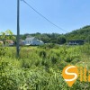 Ділянка з видом на Київські Карпати в мальовничому селі Підгірці, Новообухівська траса, 36,5 сот, фото 8