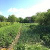 Будинок житловийс.Сідлище Коломийський район, фото 8