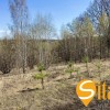 Ділянка з панорамним видом біля Чернечого лісу та озера Безодня в Лісниках, поруч Equides Club, Новообухівський напрямок, 14 соток., фото 5