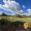Земельна ділянка під забудову, Липники, фото 7