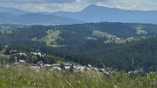 Продається Земельна ділянка в Яблуниці