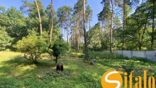 У сосновому лісі біля Романківська Усадьба, Новообухівський напрямок, 15 соток