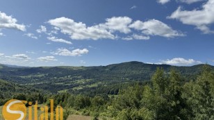 Земельна ділянка  участок Плоский2 , с.Яворів, Косівський рн