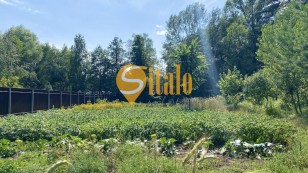 Чудова ділянка біля Блакитного озера та лісу в СТ Арсеналець, Підгірці, Новообухівський напрямок, 21,71 сотка.