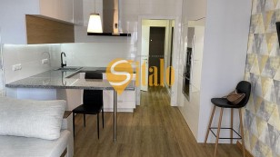 1кімнатна квартирастудія на Печерску