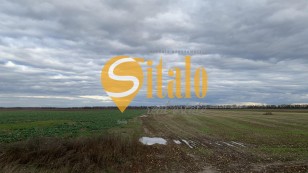 в оренді