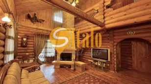 Оренда казкового будинку з видом на воду, Славутич, Осокорки дачі