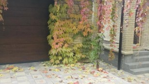 Продаж будинка в центрі Бородинського