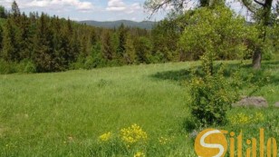 Земельна ділянка під житлову забудову 10 сот с.Тухолька  5 км від курорту Плай  Львівська обл.