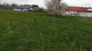 Продаж земельної ділянки с. МикитинціКосівський рн