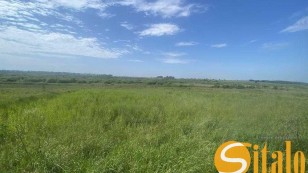 Продаж ділянки під будівництво, с.Ременів