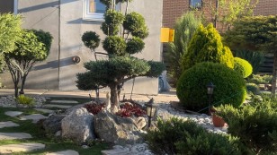 Оренда будинку Осокорки дачі, Славутич, Газ.