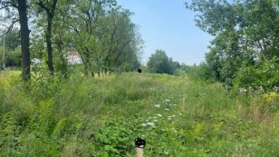 Продаж  Земля комерційного призначення  Зелена, Сихівський район, Львів
