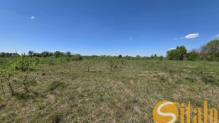 Продаж фасадної ділянки 1.56 га на трасі ЛьвівЛуцьк Н17