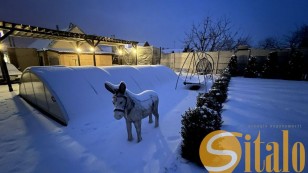 Продам приватний будинок з басейном та каміном.