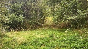 Продаж дачна ділянка село Рокитно Яворівський рн Львівська обл.