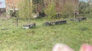Продається будинок та земельна ділянка 10 сот., м. Раехів