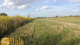 Продаю Земельну ділянку с г призначення . Чукалівка