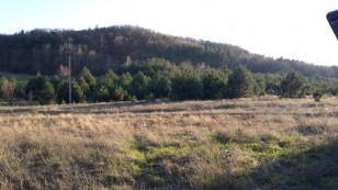 Земельна ділянка в Крехові  Козулька, Львів