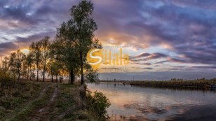 Супер ціна, ділянка в Зазимї поруч Погреби. Без комісії