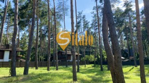 У сосновому лісі біля Романківська Усадьба, Новообухівський напрямок, 42,61 сотки