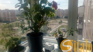 Трехкомнатная по ул. Водограйная 2 Южный