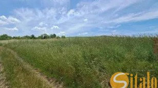 Продаж земельної ділянки з дачею, с. Бірки, Львів