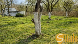 Продаж Земельна ділянка під садівництво  дача, забудова  м. Львів, вулиця Шевченка