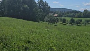 Земельна ділянка 23 сотих с.Стопчатів