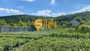 Кутова ділянка біля К. Карпат та озера в Підгірцях, Новообухівський напрямок, 8 соток