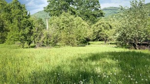 Земельна ділянка 54 сотихм.Яремче