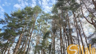 Продаж земельної ділянки біля Новояворівська